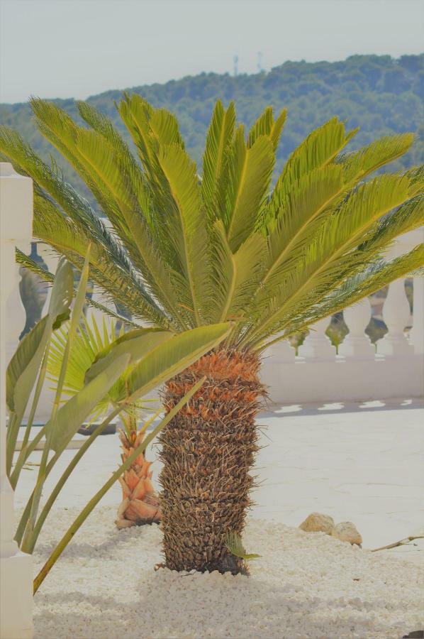 Villa La Terre Des Lauriers วาลูริส ภายนอก รูปภาพ
